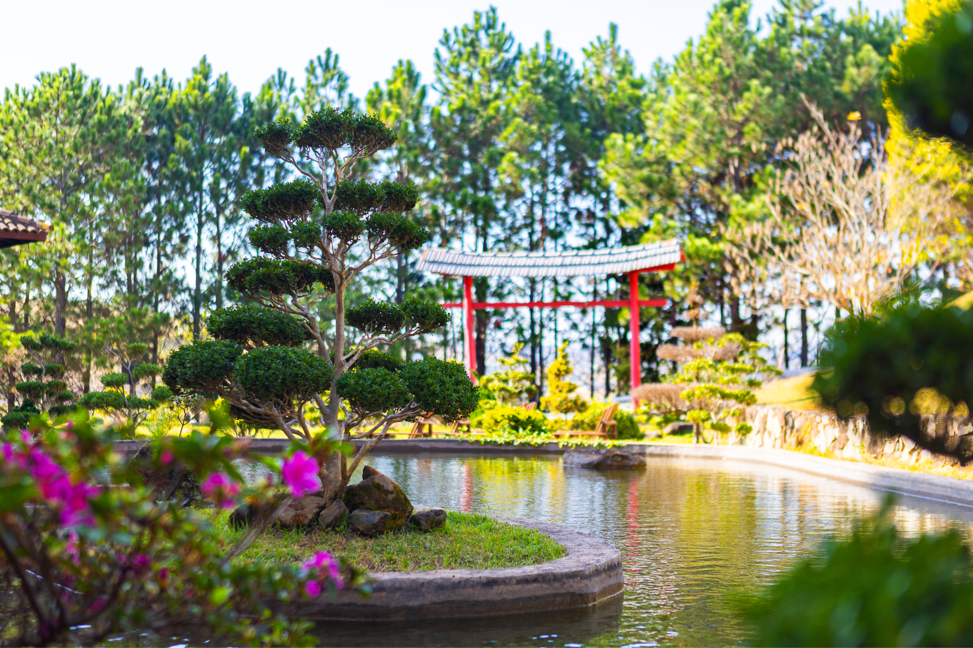 Jardim com lago e vegetação no Golden Park
