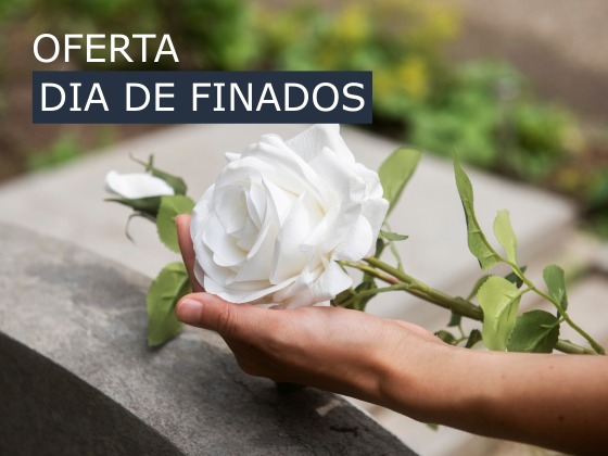 Feriado - Finados